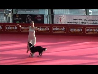 amazing performance by owner and her dog