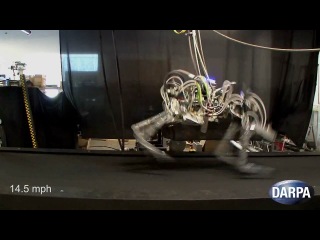 robot cheetah - speed ​​record